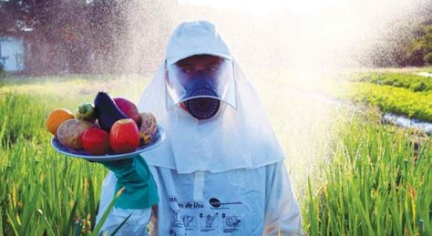 Agrotóxicos, Alimentos e Saúde: O Alerta no Campo