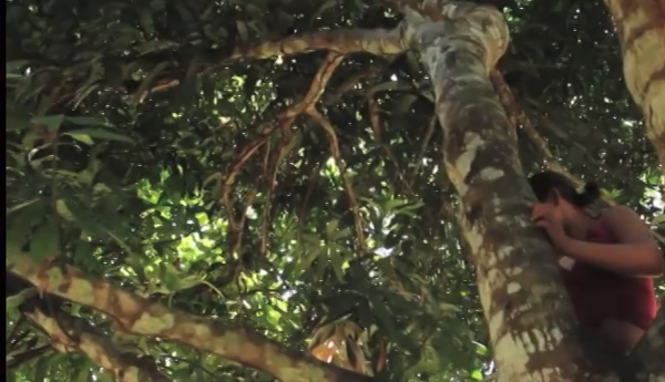 Mulher escalando árvore em meio à exuberância natural