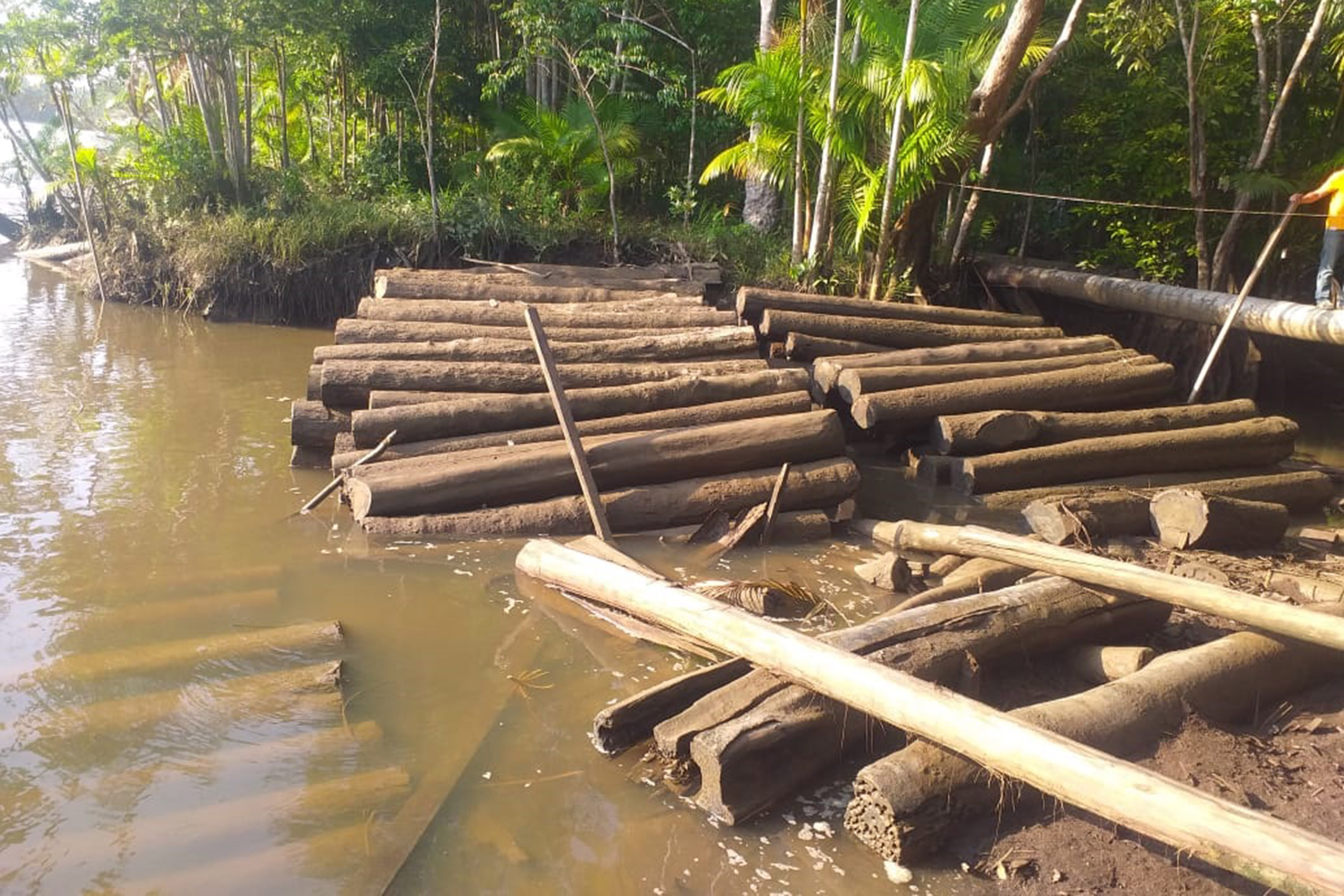 Extração de Madeira na Amazônia: Toras no Rio