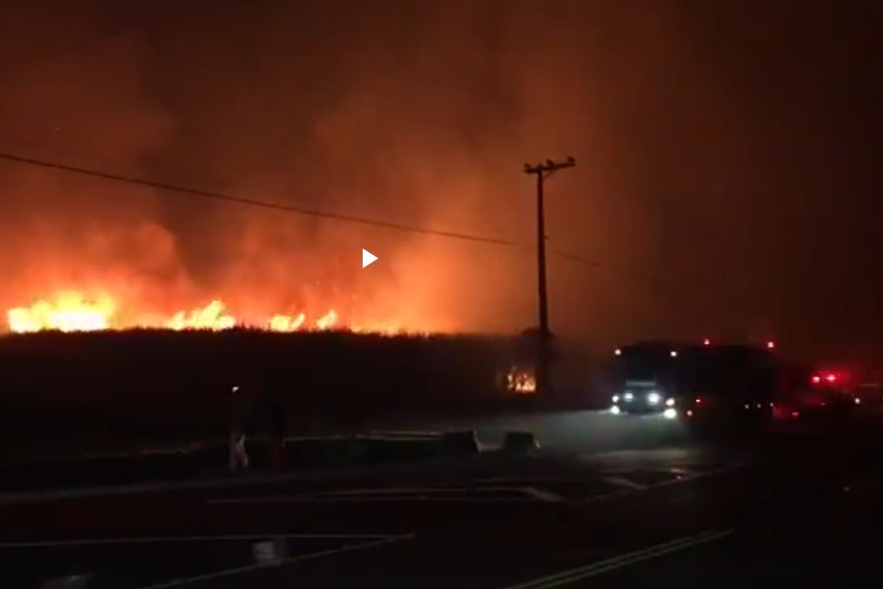 Incêndio Noturno: Chamas Consomem Campo, Bombeiros no Local