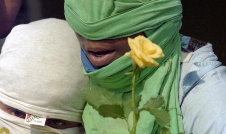 Olhares e Bocas Velados: A Rosa da Resistência