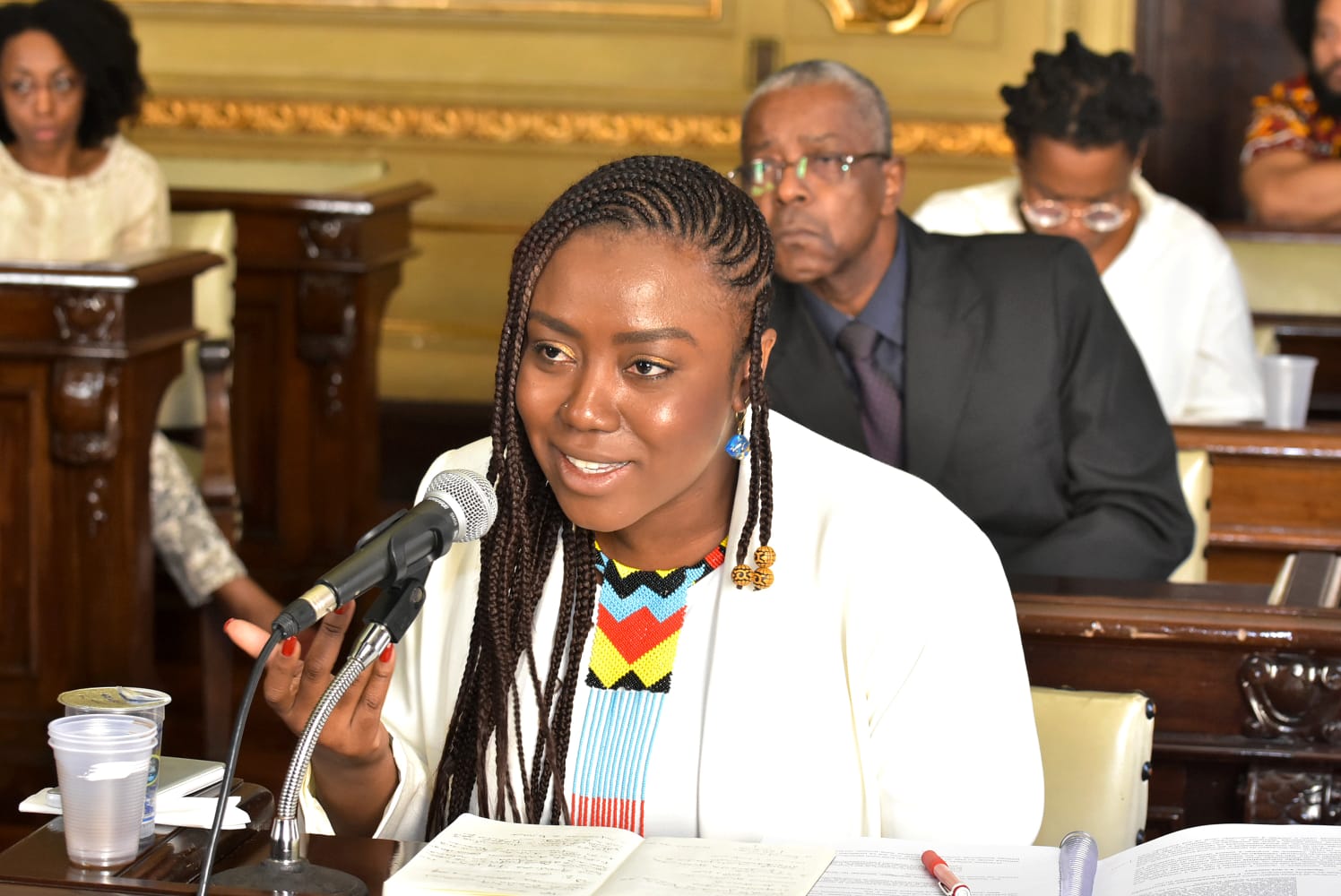 Mulher Negra em Debate Público: Voz e Representatividade