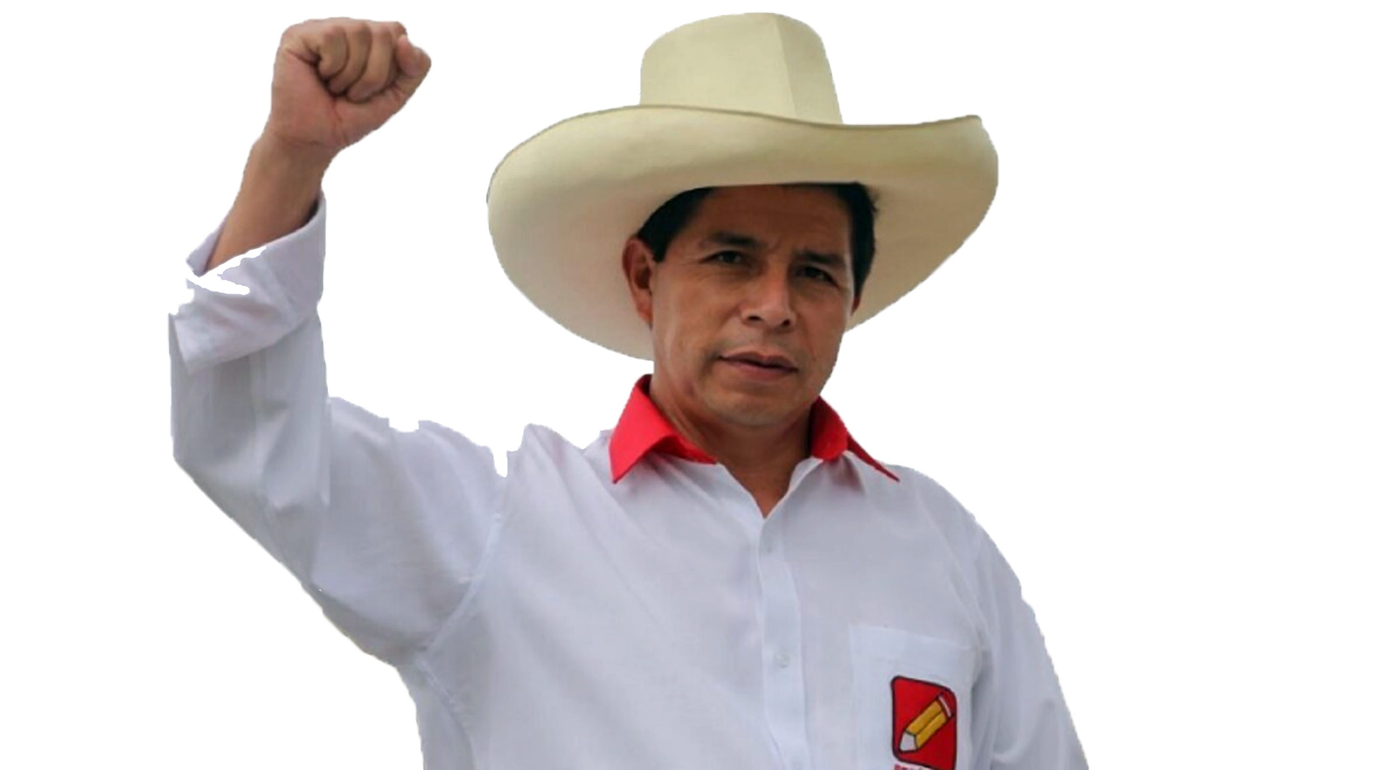 Pedro Castillo ergue punho em gesto de força