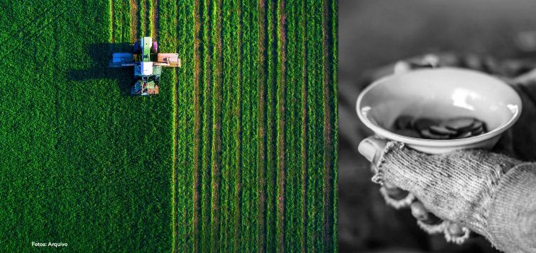 Contradição: Riqueza Agrícola e Pobreza Extrema