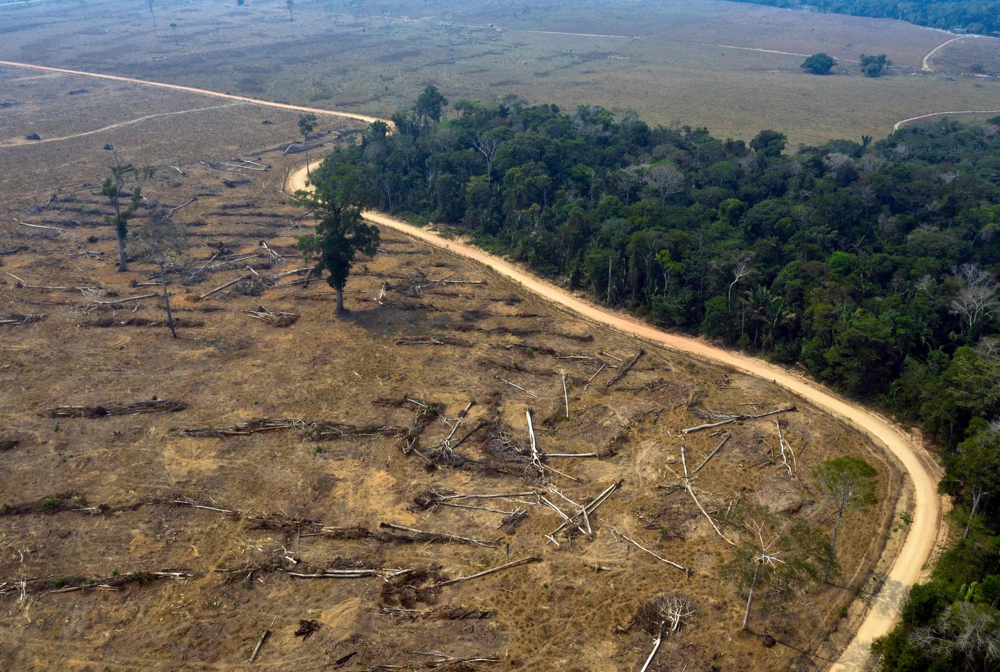 Estrada e Desmatamento: Avanço sobre a Floresta Amazônica