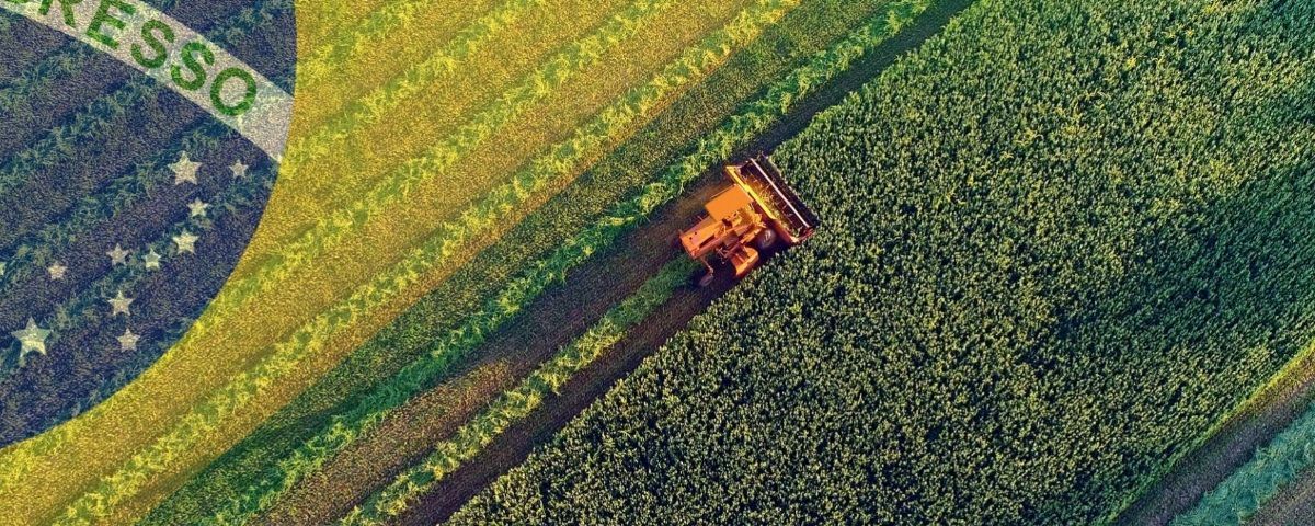 Brasil Agrário: Progresso e Colheita em Campos Férteis
