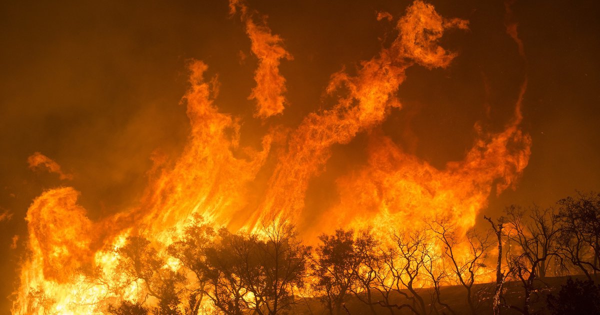 Incêndio Florestal Massivo: Chamas Consomem a Natureza