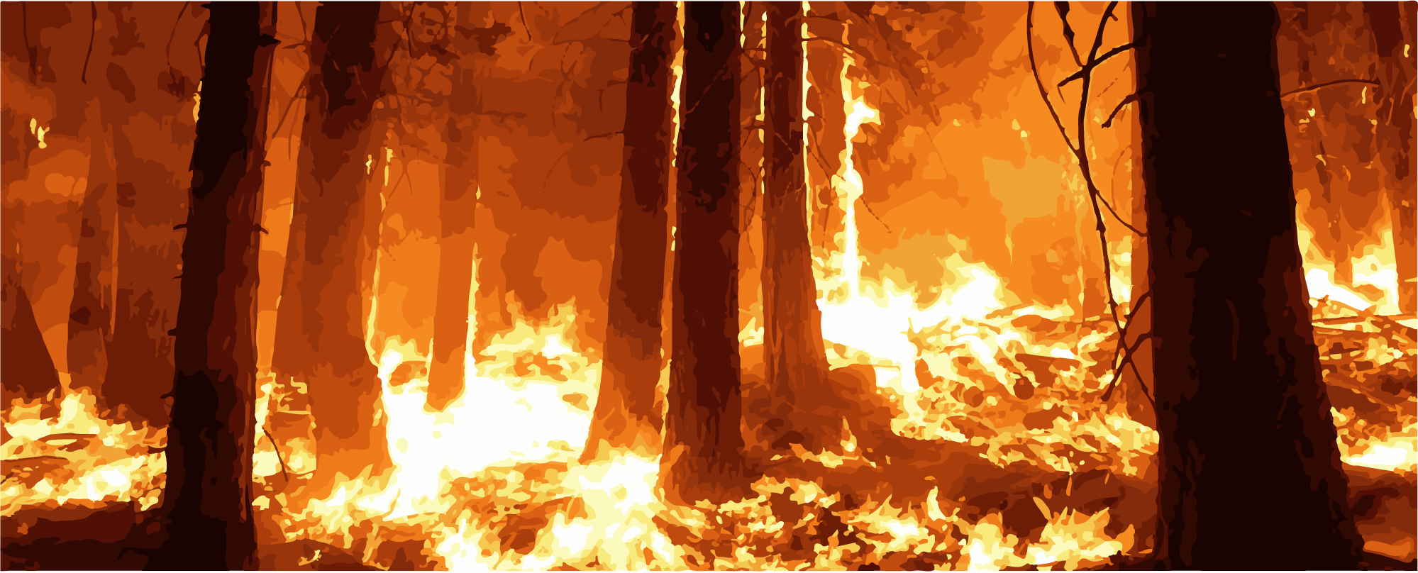 Incêndio Florestal: A Devastação em Chamas