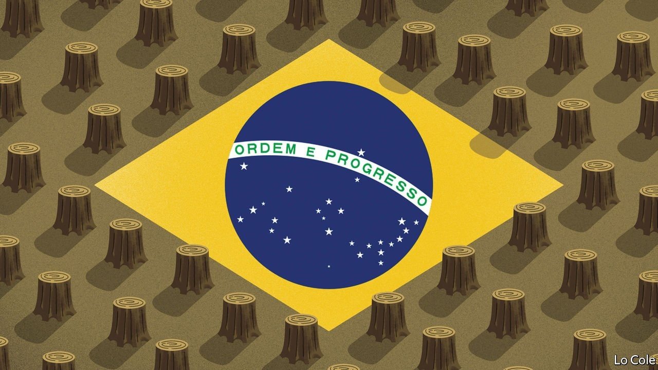 Desmatamento no Brasil: Ordem e Progresso sobre Terra Desolada