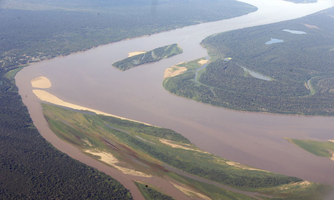 Rio Amazônico Serpenteante: Natureza, Floresta e Areia