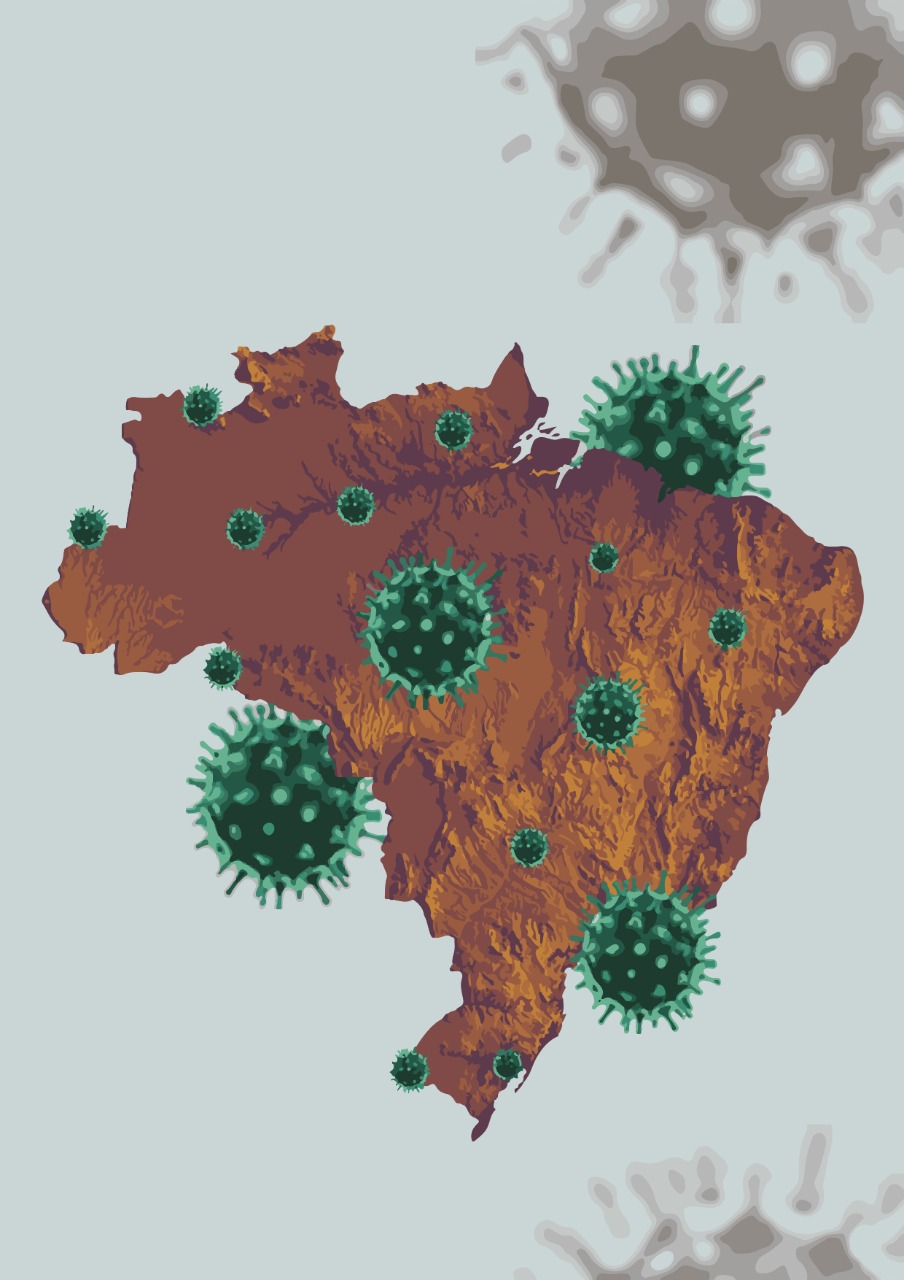 Brasil e Pandemia: Um Mapa da Crise Sanitária