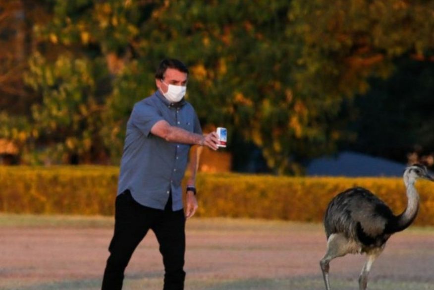 Bolsonaro oferece medicamento a ema; cena viral durante pandemia