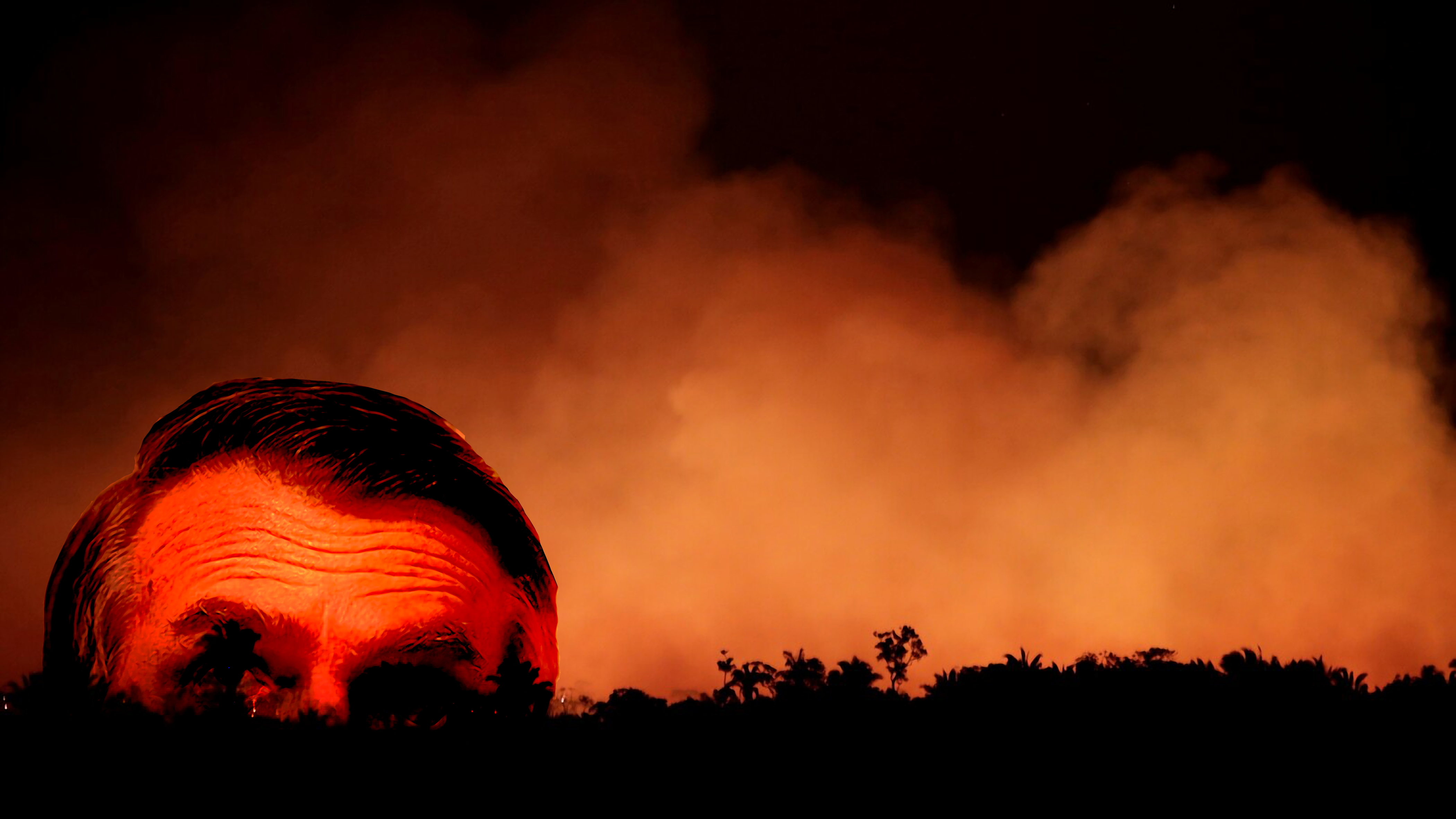 Bolsonaro e as Chamas da Destruição Ambiental no Brasil