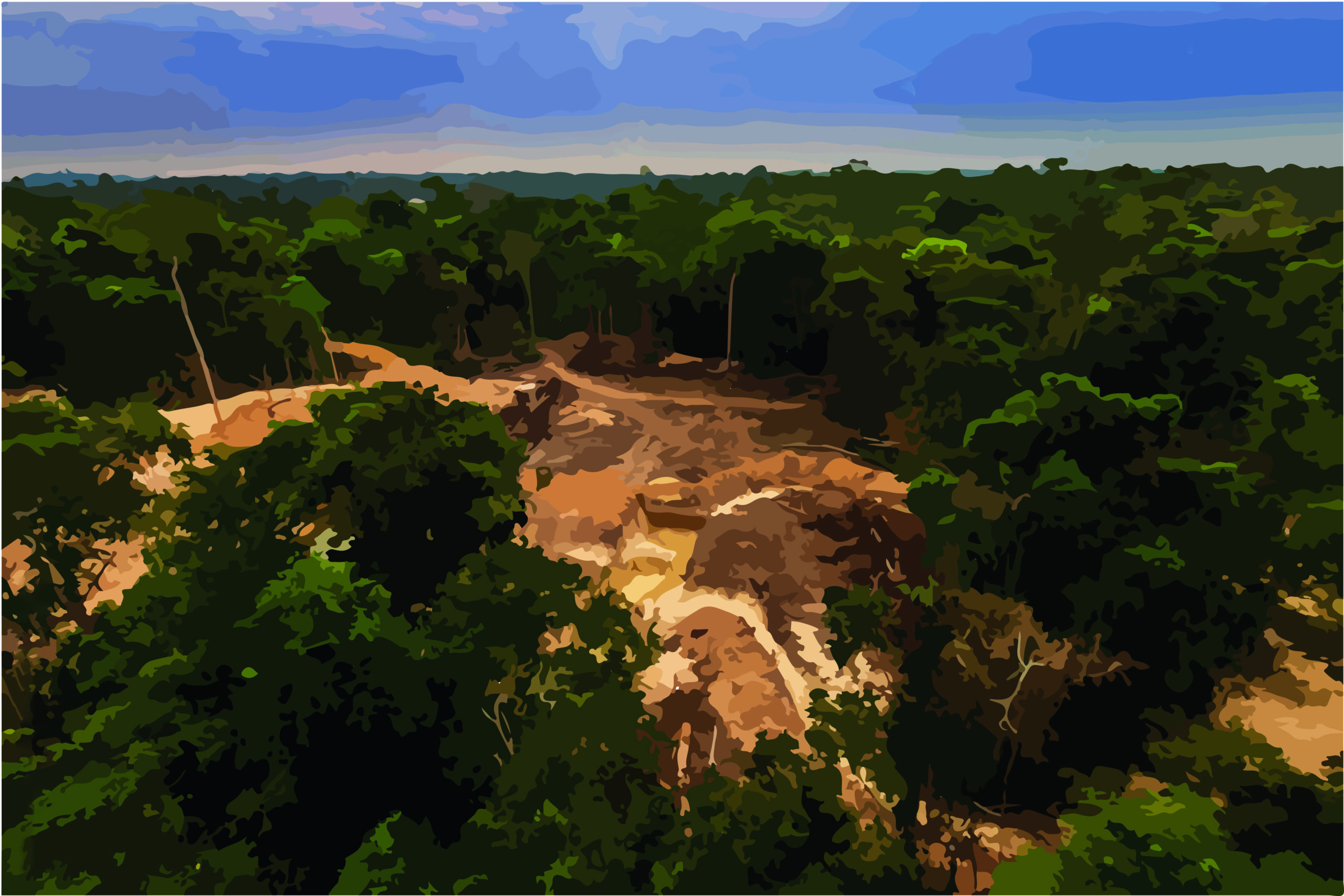 Desmatamento na floresta tropical: impacto ambiental