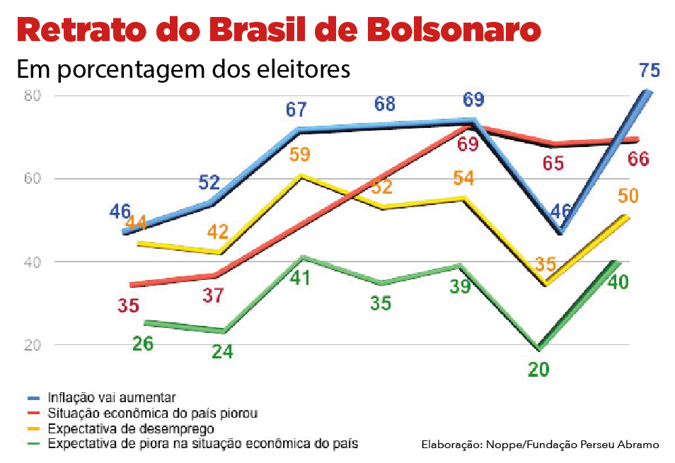 Retrato do Brasil de Bolsonaro: Percepção Econômica Eleitoral