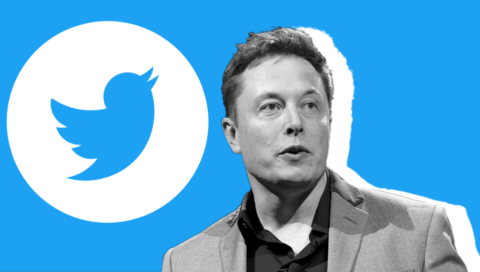 Elon Musk e o Twitter: Influência e Transformação Digital