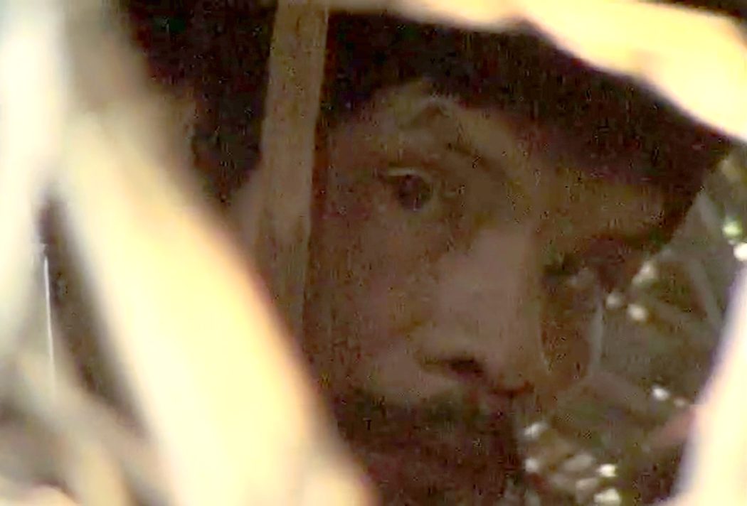 Olhar Vigilante: Rosto de Homem em Meio à Natureza