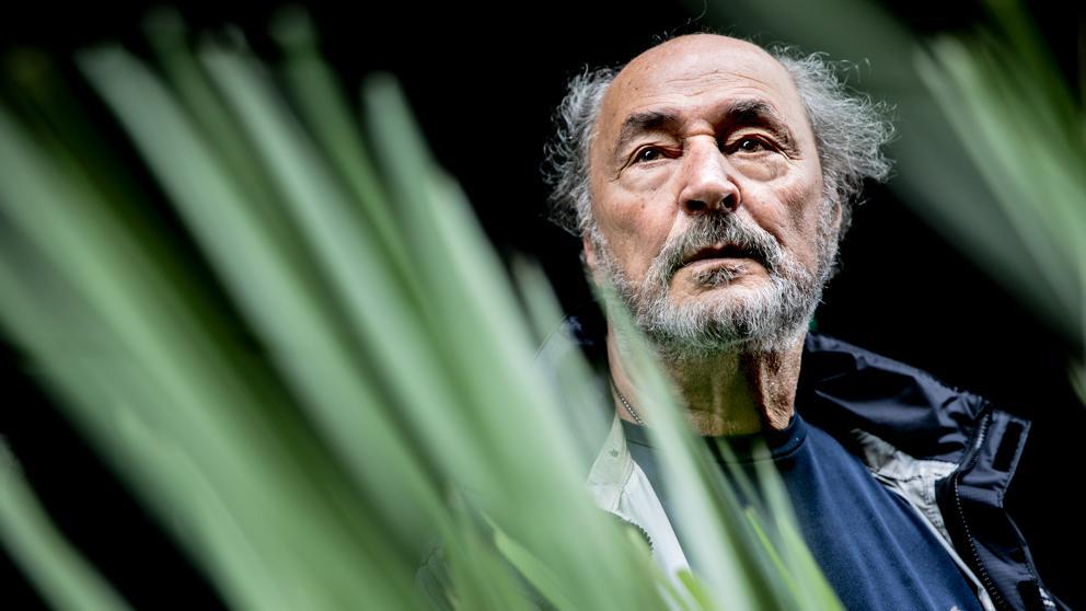 Homem Sábio Entre Folhagens Verdes, Olhar Pensativo