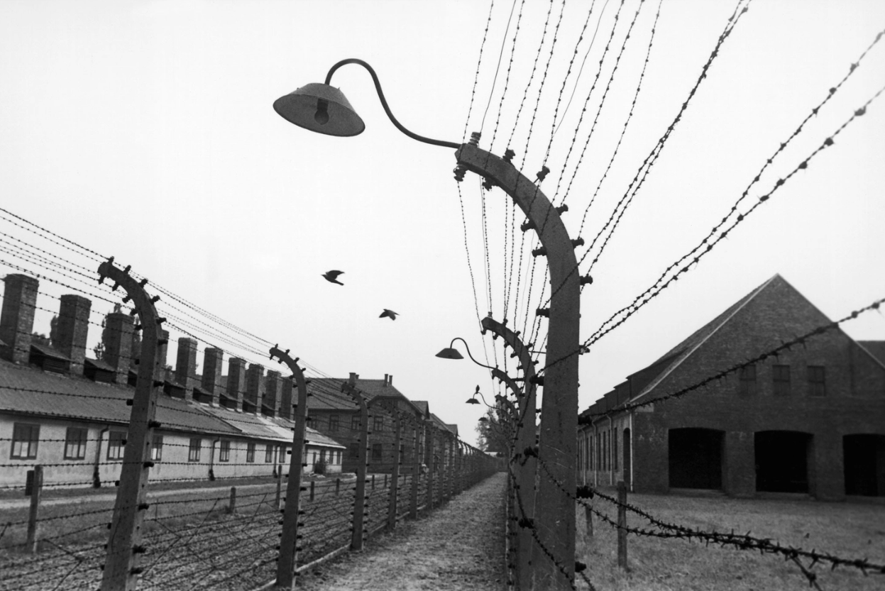 Auschwitz: Arame Farpado e o Legado Sombrio da História