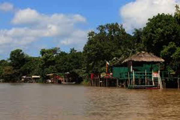 Vida Ribeirinha na Amazônia: Rio, Palafitas e Floresta