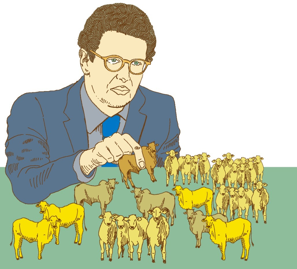 Homem de óculos avalia e seleciona gado em campo