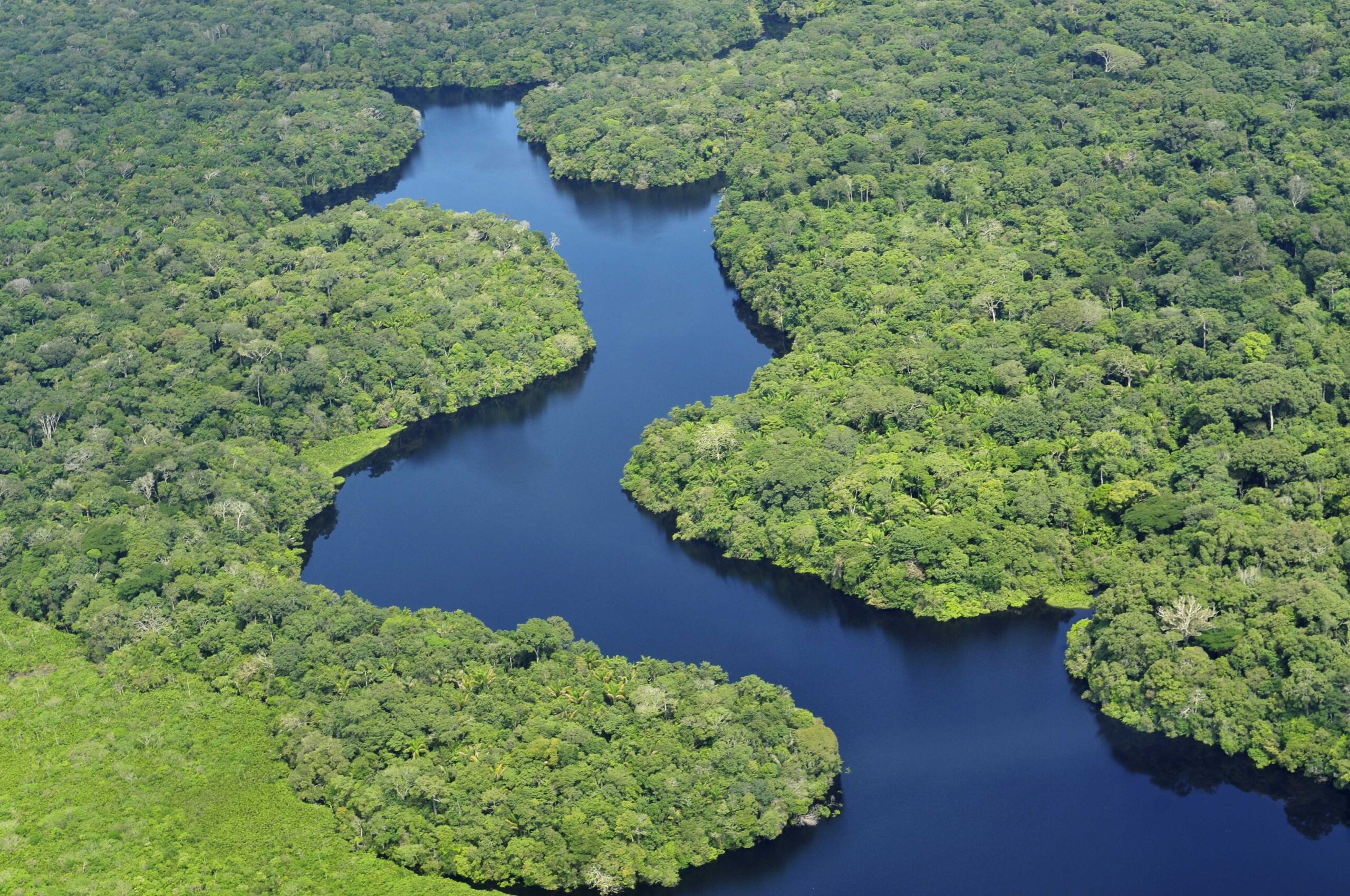 Dia da Amazônia: proteção ambiental e da biodiversidade