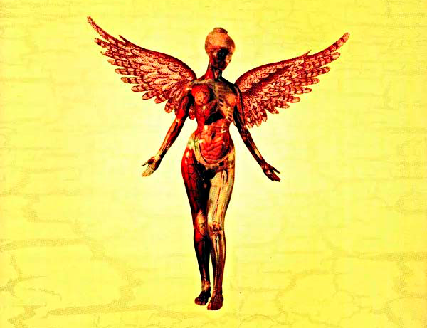 Anjo Anatômico com Órgãos Expostos em Fundo Amarelo