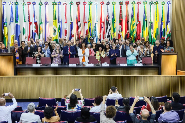 Celebração Política: Diversidade e Unidade Brasileira