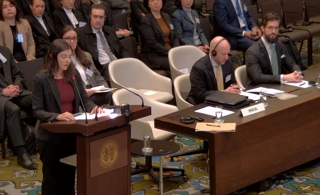 Mulher discursa em conferência internacional com delegação brasileira