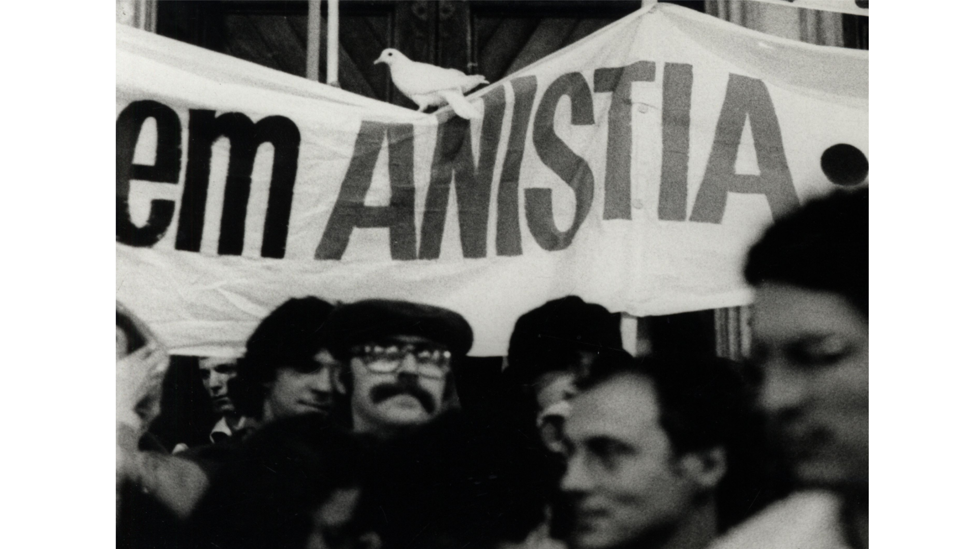 Manifestação por Anistia: A Pomba da Paz no Protesto