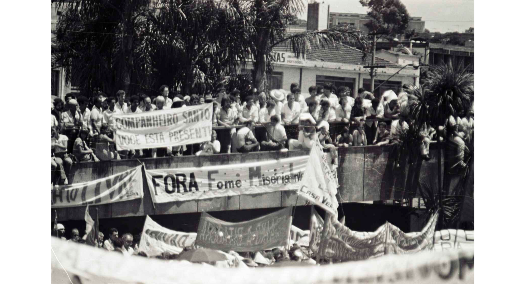 Protesto Social Brasileiro: Fome, Miséria e Solidariedade