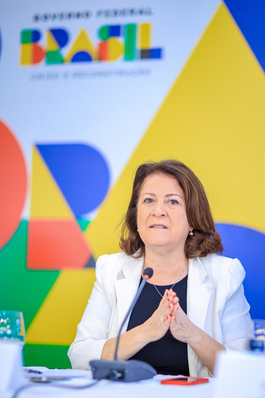 Representante Governamental Discursa em Evento Oficial Brasil