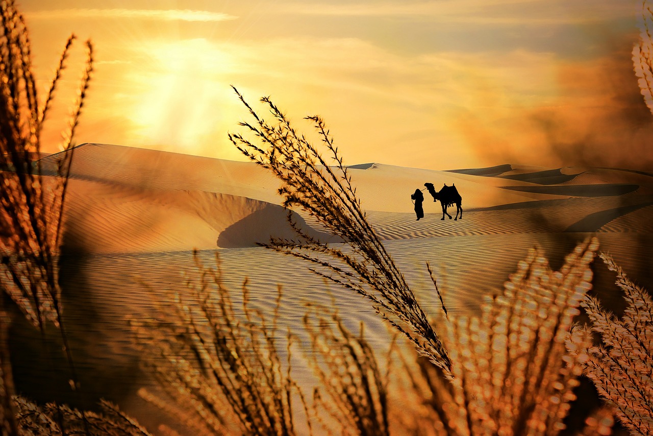 Jornada no Deserto: Persistência e Novos Horizontes