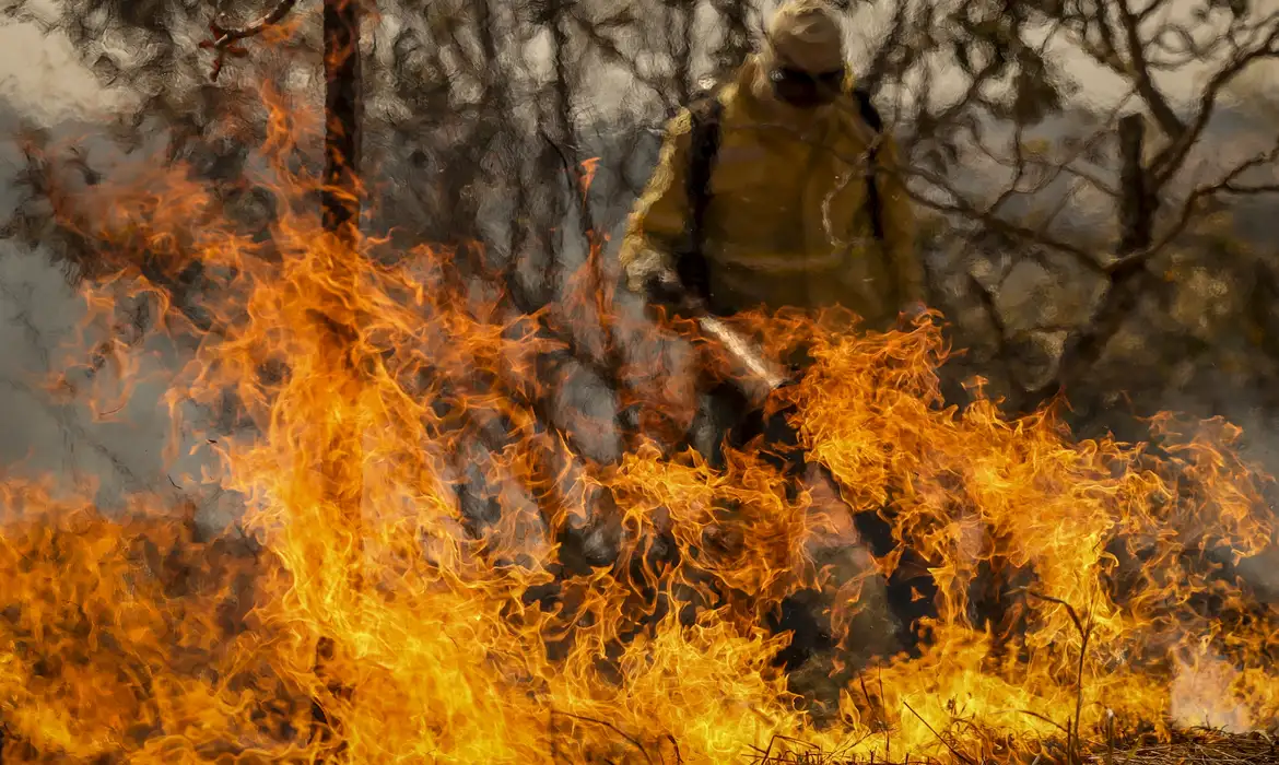 Brigadista combatendo incêndio florestal em cenário de crise