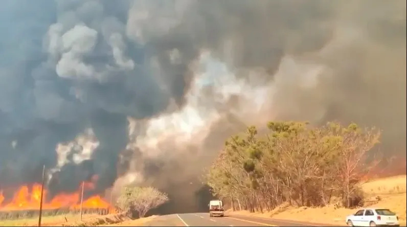 Incêndio Florestal Intenso Próximo à Rodovia com Fumaça Densa