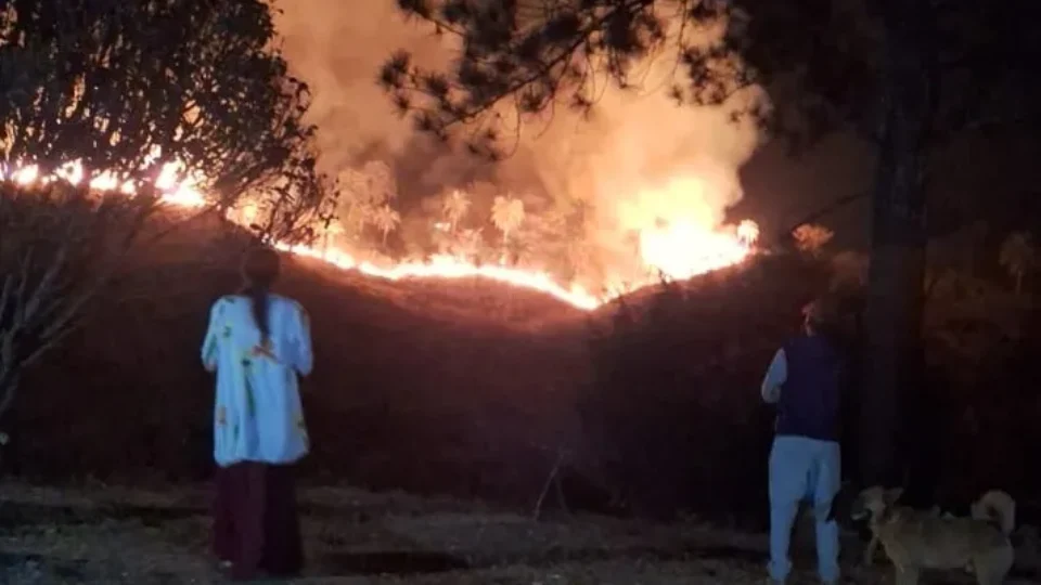 Incêndio Florestal Noturno: Pessoas Observam Devastação