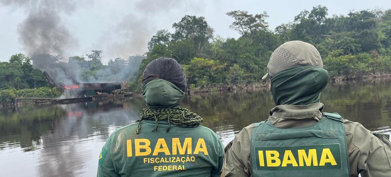 Dia da Amazônia: incêndio, desmatamento e garimpo marcam cenário do bioma