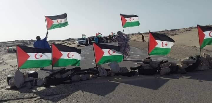 Bandeiras do Saara Ocidental: Protesto e Resistência no Deserto