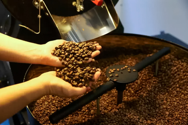 Mãos Manuseando Grãos de Café Torrados