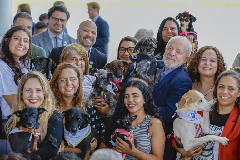Governo lança política nacional para proteger cães e gatos e combater maus-tratos