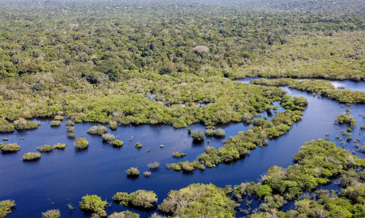 Floresta Amazônica e Rios: Vista Aérea da Natureza Exuberante