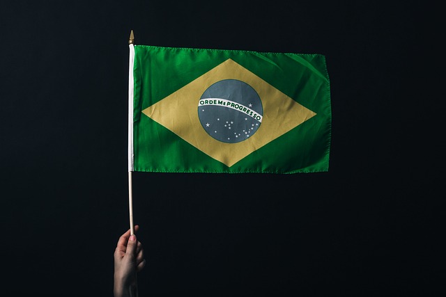 Mão Segurando Bandeira do Brasil