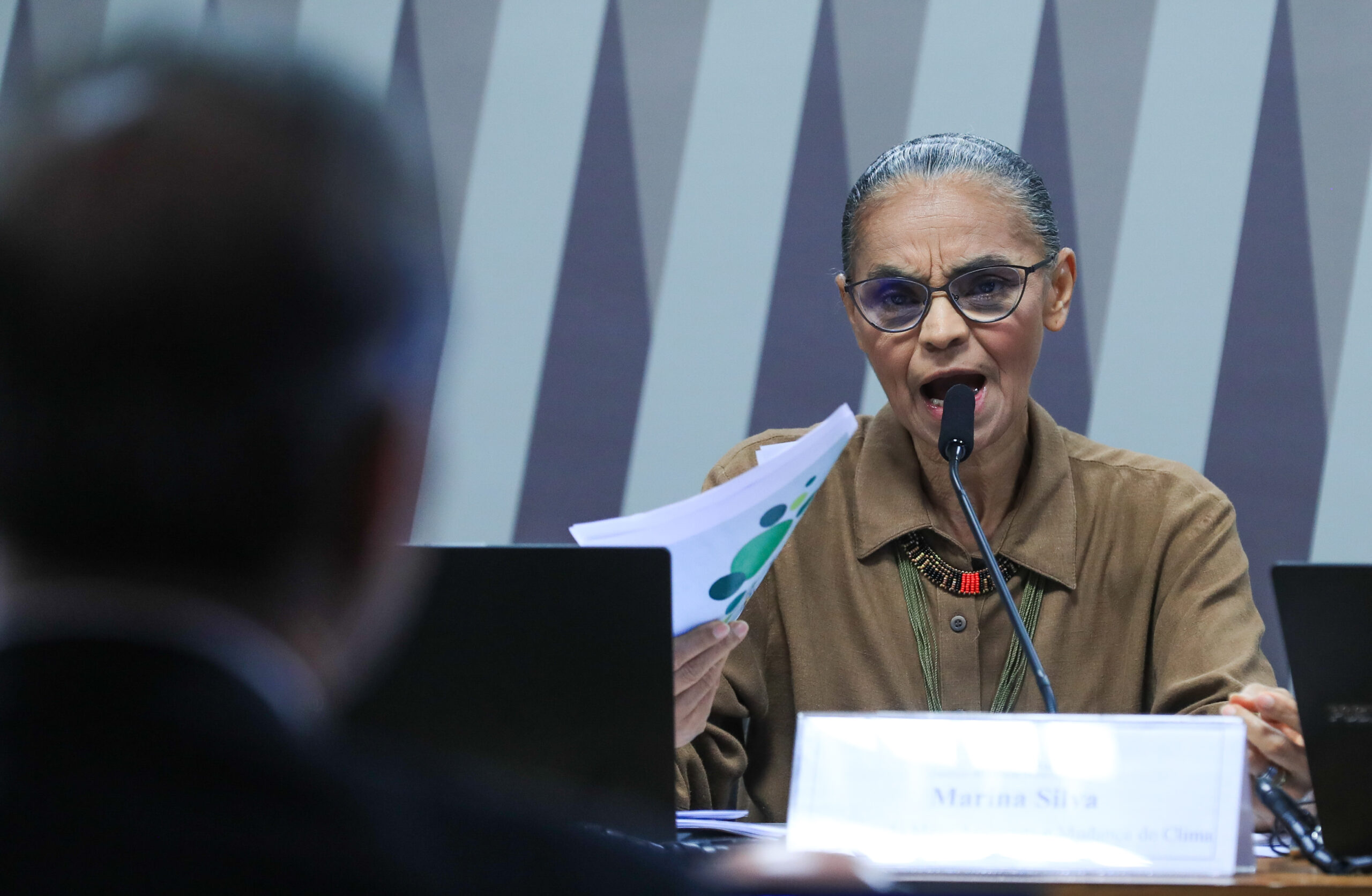 Solidariedade à ministra Marina Silva e um apelo ao bom debate