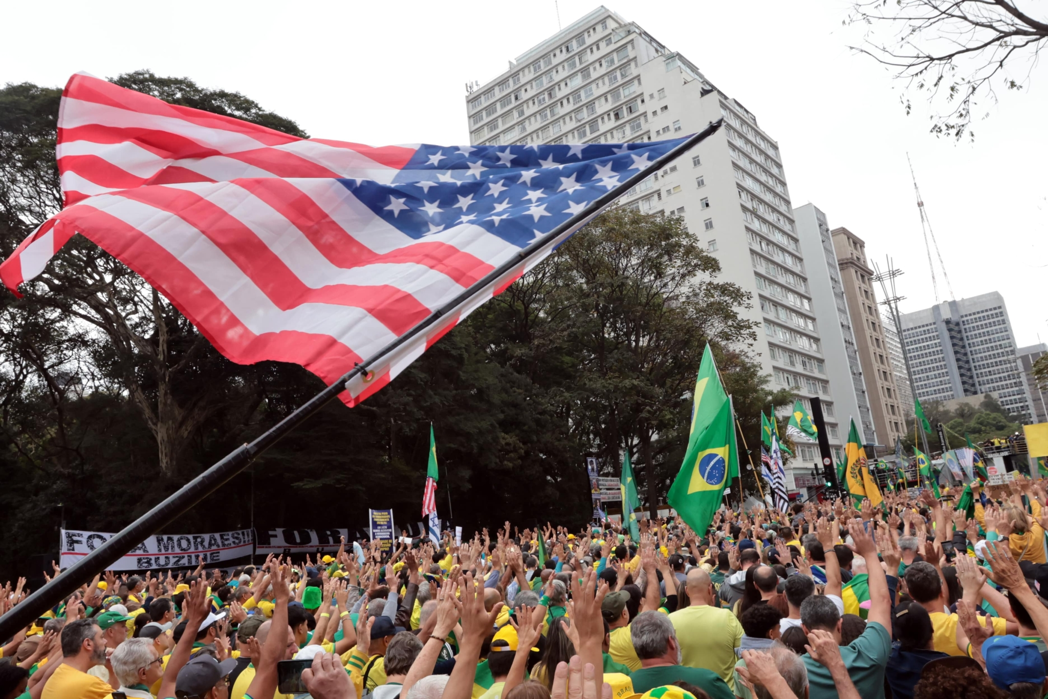 Multidão em Protesto Político com Bandeiras Nacionais e Estrangeiras