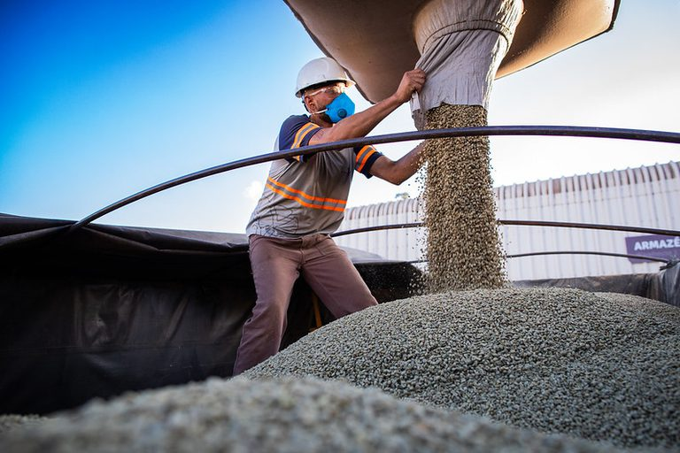 Manuseio de Café Verde: Trabalho na Logística Agrícola