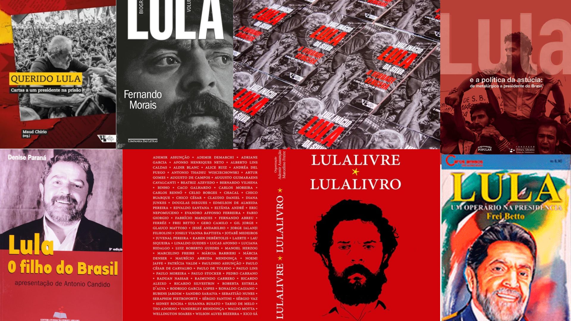 Coletânea de capas de livros sobre Lula: história e luta
