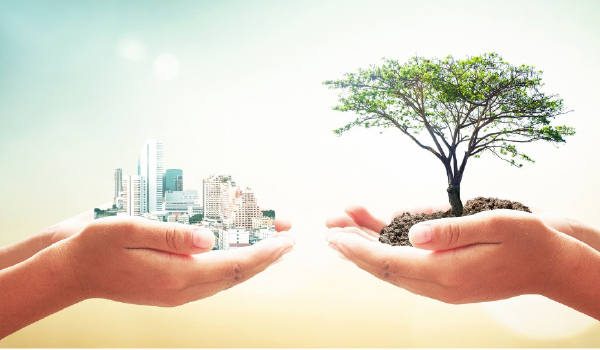 Equilíbrio entre Cidade e Natureza: Mãos Sustentáveis.