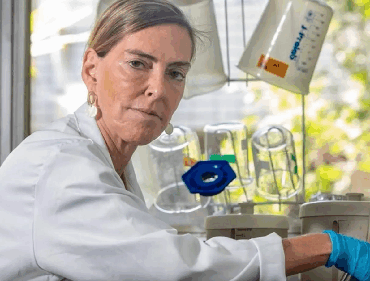 Tatiana Sampaio, cientista brasileira